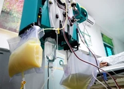 Huyết tương trắng như sữa vì thói quen đàn ông Việt thường làm