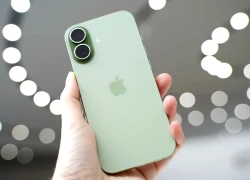 iPhone 17 quá 'hot', liệu bản Pro có bị ế?