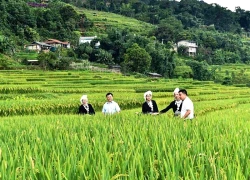 Lên 'xứ Tuyên' ngắm ruộng bậc thang, trải nghiệm du lịch cộng đồng tại Hồng Thái