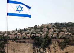 Liên minh hơn 60 tổ chức hòa bình kêu gọi công nhận Nhà nước Palestine