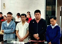 Sản xuất hàng tấn giá đỗ ủ chất độc, 4 bị cáo lĩnh án