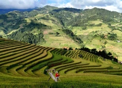Thăm Háng Đăng Dê mùa lúa chín