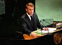 Thêm một loạt quốc gia công nhận Nhà nước Palestine