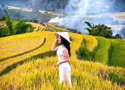 4 lộ trình 'đáng từng xu' ngắm mùa vàng Tây Bắc