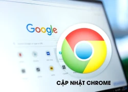 Google phát hành bản vá khẩn cấp, người dùng Chrome cần cập nhật ngay