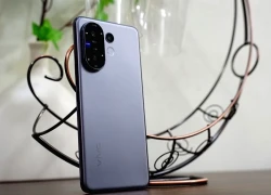 vivo V60 5G: 'Chuyên gia chân dung' pin bền bỉ và những đánh đổi có chủ đích