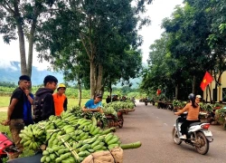 Vụ xe tải lao vào chợ chuối: Người dân chuyển địa điểm mua bán