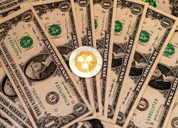 XRP được nhiều công ty niêm yết bổ sung vào dự trữ 2025