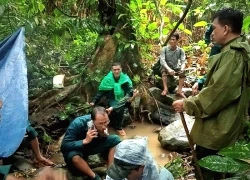 50 người đội mưa bão tìm kiếm người đàn ông mất tích trong rừng