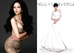 Chủ tịch Miss Universe Vietnam tuyên bố: "Hương Giang là thí sinh mạnh nhất"