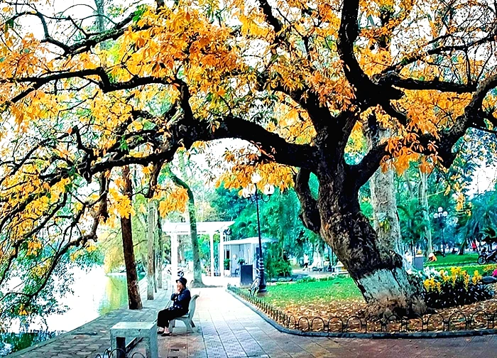 Hà Nội lọt top 7 điểm đến mùa thu đẹp nhất châu Á