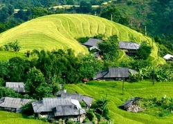 Ngắm những thửa ruộng bậc thang tuyệt đẹp ở Hoàng Su Phì