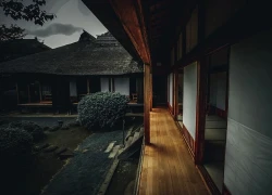 Nhật Bản: Mẹ giấu thi thể con gái trong tủ đông 20 năm gây rúng động