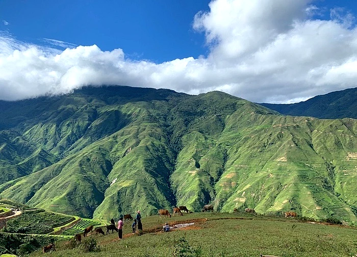 Nữ du khách trèo lên lan can, đứng chênh vênh chụp ảnh ở Tà Xùa gây xôn xao