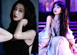 Bạch Lộc và Điền Hi Vi định hình chuẩn đẹp mới của màn ảnh Hoa ngữ