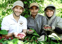 Đắk Lắk: Du khách say mê hành trình "từ vườn đến ly" cà phê