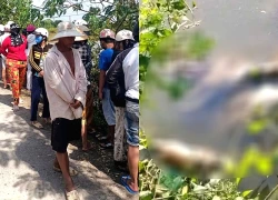 Thiếu nữ tử vong với vết thương trên cổ: Nạn nhân là học sinh cấp II