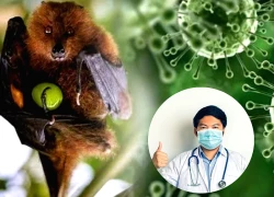 Bác sĩ khuyến cáo 5 vật dụng bảo hộ thiết yếu phải chuẩn bị để phòng virus Nipah