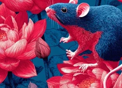 Bính Ngọ 2026 gọi tên 4 con giáp đổi vận mạnh nhất