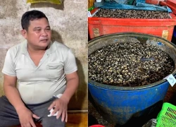 Chủ cơ sở chế biến, bán 3 tấn ốc ngâm hóa chất cho quán nhậu, nhà hàng khai gì?