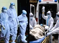 Chuyên gia nói về nguy cơ virus Nipah xâm nhập Việt Nam
