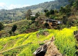 "Cổng trời" Ô Quy Hồ mở cánh cửa khám phá Lai Châu