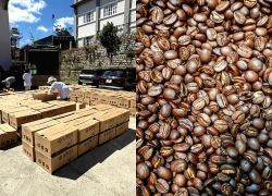 Công ty ở Lâm Đồng biến đậu nành thành cà phê