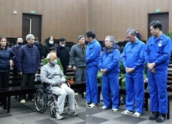 Cựu Chủ tịch HĐTV Vicem bị đề nghị mức án 12-13 năm tù