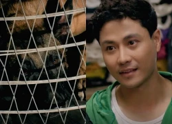 Đồng hồ đếm ngược - Tập 1: Thành "ngẫn" cứu chó Coddy từ lò mổ, vận may bắt đầu đến