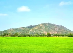 Du xuân trên đỉnh núi Sam