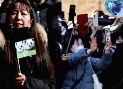 Hàng dài người dân Nhật Bản xúc động xếp hàng chia tay cặp gấu trúc sinh đôi quay trở về Trung Quốc, sở thú có thể thiệt hại tới 3.400 tỷ đồng/năm