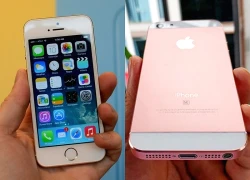 iPhone 5s nhận bản cập nhật phần mềm sau 13 năm ra mắt