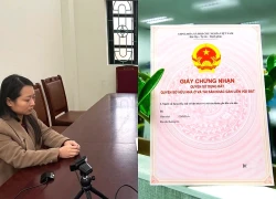 Mạo danh cán bộ địa chính, lừa gần 1 tỷ đồng ở Quảng Ninh
