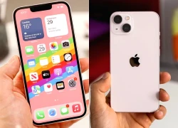 Mẫu iPhone rẻ nhất tại Việt Nam tăng giá