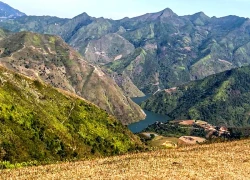 Mùa cỏ cháy nhuộm vàng thảo nguyên Tà Xùa