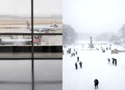Mỹ hoãn, hủy hơn 22.000 chuyến bay vì bão mùa đông lịch sử