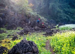 Ngôi làng đậm chất thơ cách Hà Nội 200km, chụp ảnh đẹp 'miễn chê'