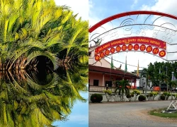 Ngôi làng nơi virus Nipah được phát hiện có gì đặc biệt?