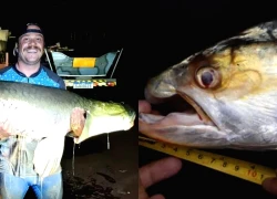 Ngư dân bắt được con cá khổng lồ nặng 124kg trên sông