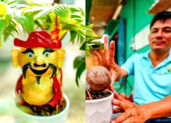 Nông dân TPHCM 'hô biến' dừa khô thành bonsai linh vật ngựa