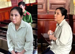 Nữ giám đốc lừa bán xe Vinfast giá rẻ chiếm đoạn 8,4 tỷ đồng