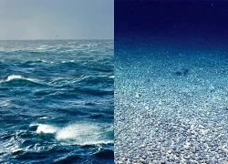 Phát hiện bất ngờ về nơi đại dương hấp thụ nhiều khí carbon nhất