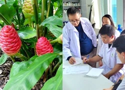 Phát triển hoạt chất chống ung thư từ cây gừng gió mọc hoang