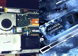 Sai lầm nghiêm trọng với ổ SSD NVMe khiến PC 'đứng hình'