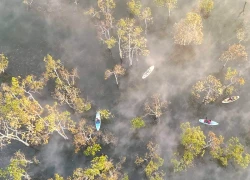 Suối Tía thức giấc trong làn sương mỏng