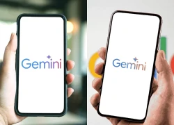 Thị phần ChatGPT chạm đáy 3 năm, Gemini tăng trưởng 315%