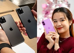 Thời điểm vàng mua iPhone cũ với nhiều máy đẹp, giá xuống sâu
