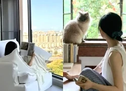 Vừa mua căn hộ tầng 26, tôi hối hận và bán gấp để xuống tầng 5: Bài học đắt giá không có trong quảng cáo