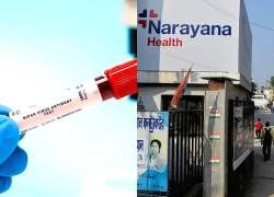 WHO nhận định nguy cơ virus Nipah lây lan ra ngoài Ấn Độ ở mức thấp