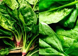 2 loại rau 'tăng chiều cao' cho trẻ cực giàu canxi, nhất cái số 1 ngoài chợ bán đầy